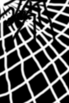 Web me, par Xavier E. G. Dierick